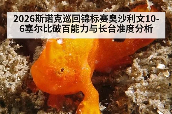 2026斯诺克巡回锦标赛奥沙利文10-6塞尔比破百能力与长台准度分析