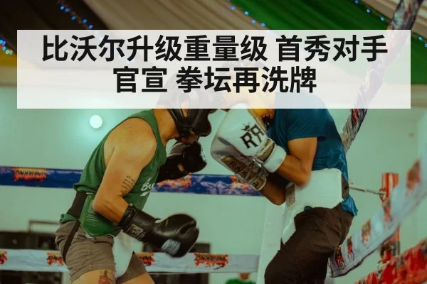 比沃尔升级重量级 首秀对手官宣 拳坛再洗牌