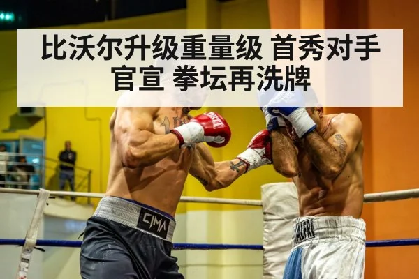 heavyweight boxing match