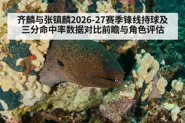 齐麟与张镇麟2026-27赛季锋线持球及三分命中率数据对比前瞻与角色评估